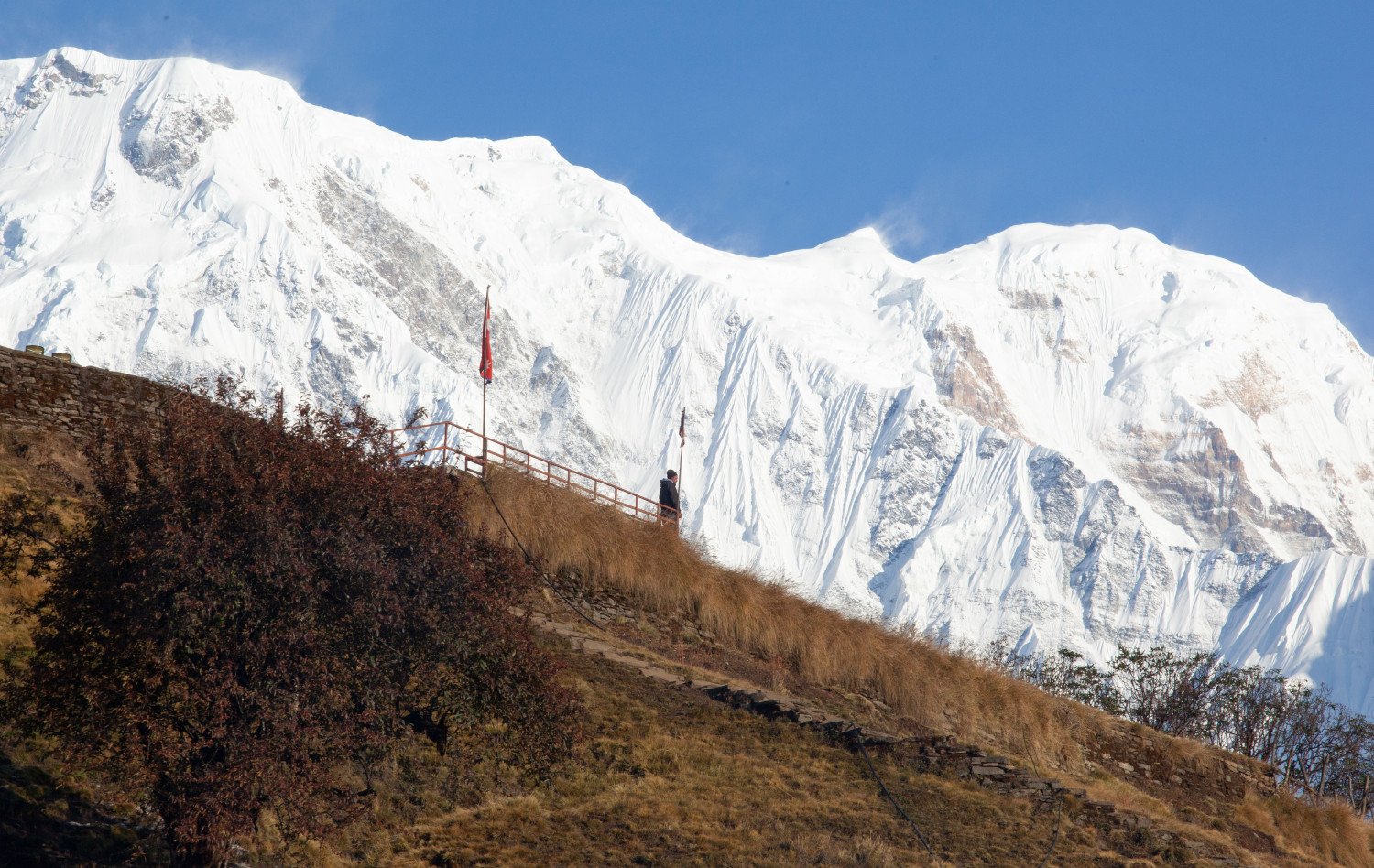 Mardi Himal Trekking